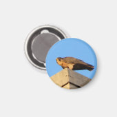 Pigott Magnet (Recto/Verso)