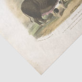 Pigs Ephemera Decoupage  Boerderij Weefselpapier Tissuepapier (Detail)