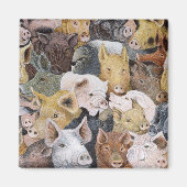 Pigs Galore Magneet (Voorkant)