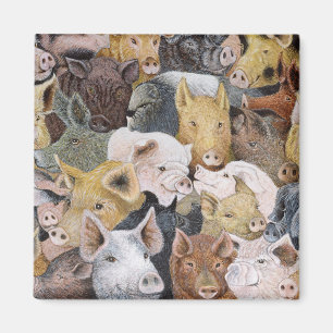 Pigs Galore Magneet
