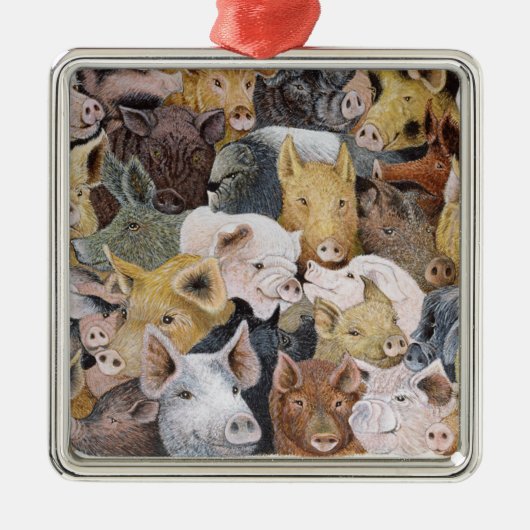 Pigs Galore Metalen Ornament (Voorkant)