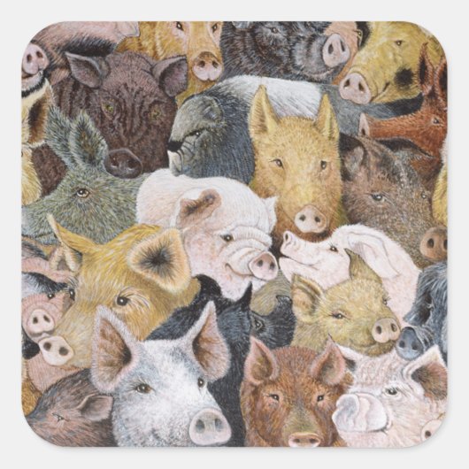 Pigs Galore Vierkante Sticker (Voorkant)