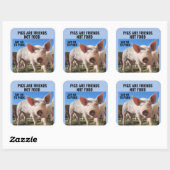 PIGS SONT AMIS PAS DE LA NOURRITURE - ÉTIQUETTES V (Feuille)
