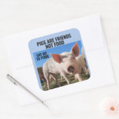 PIGS SONT AMIS PAS DE LA NOURRITURE - ÉTIQUETTES V (Enveloppe)