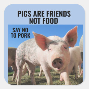 PIGS SONT AMIS PAS DE LA NOURRITURE - ÉTIQUETTES V