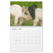 Pigs Wall Calendar - Smile in 2018 Kalender (Feb 2026)