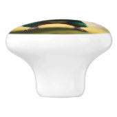 Pigskin Prodigy: de Quarterback van het cavia, Keramische Knop (Zijkant)