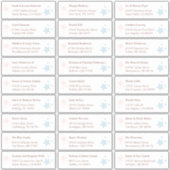 Piink et Blue Stars Étiquettes de adresse invités (Devant)