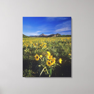 Pijlbalsemroot-wildbloemen in Waterton 2 Canvas Afdruk