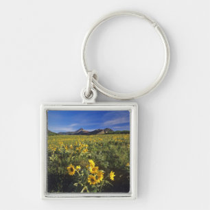 Pijlbalsemroot-wildbloemen in Waterton 2 Sleutelhanger