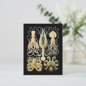 Pijlen en inkepingen briefkaart (Staand voorkant)