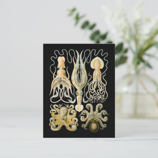 Pijlen en inkepingen briefkaart (Staand voorkant)