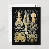 Pijlen en inkepingen briefkaart (Voorkant / Achterkant)