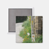 Pijlen en Shell Magnet Magneet (Voorkant / Achterkant)