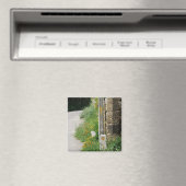 Pijlen en Shell Magnet Magneet (Insitu (Vaatwasser))