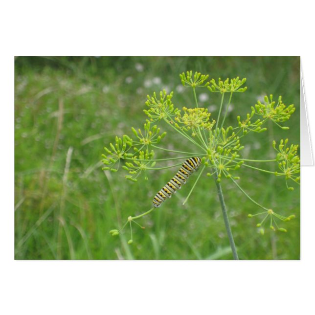 pijler (Voorkant Horizontaal)