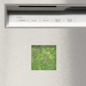 pijler magneet (Insitu (Vaatwasser))
