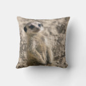 Pijler met instapmodel kussen (Achterkant)