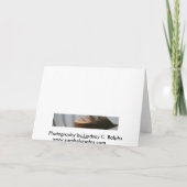 Pijler nergens Te kaarden Kaart (Achterkant)