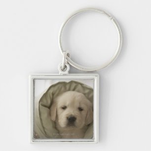 Pijlhond Sleutelhanger