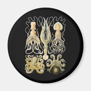 Pijlinktvis en octopus magneet