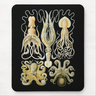 Pijlinktvis en octopus muismat