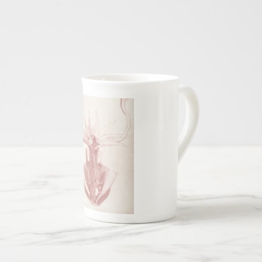 pijlinktvis nautisch porselein kop (Voorkant rechts)