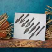 Pijlpunten, ijzertijdperk (ijzer) fotoplaat (Zijkant)