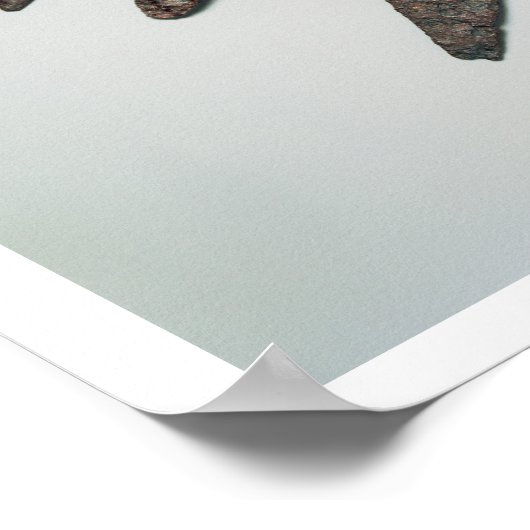 Pijlpunten, ijzertijdperk (ijzer) poster (Hoek)