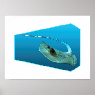 Pijlrog beweegt! Blauwe achtergrond met verloop on Poster