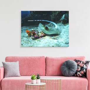 Pijlrog in beweging - Foto gemaakt in de Koraaldri Canvas Afdruk