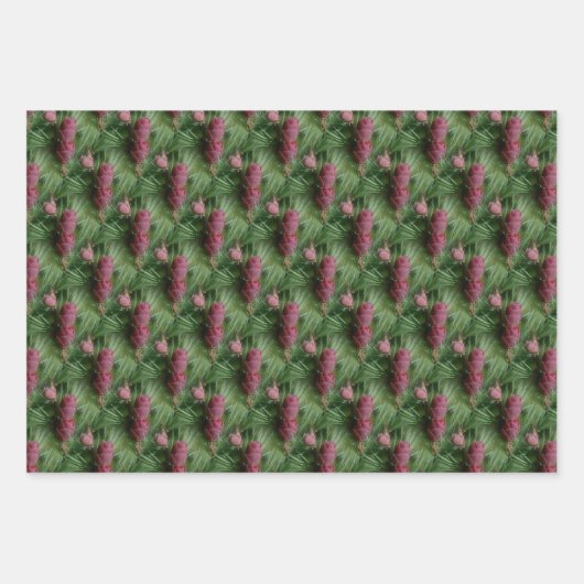 Pijn Cones en Pine Needles Natuur Patroon Inpakpapier Vel (Voorkant 3)