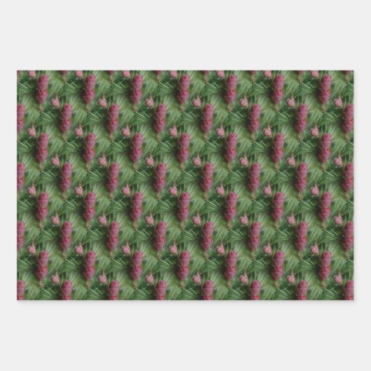 Pijn Cones en Pine Needles Natuur Patroon Inpakpapier Vel (Voorkant)
