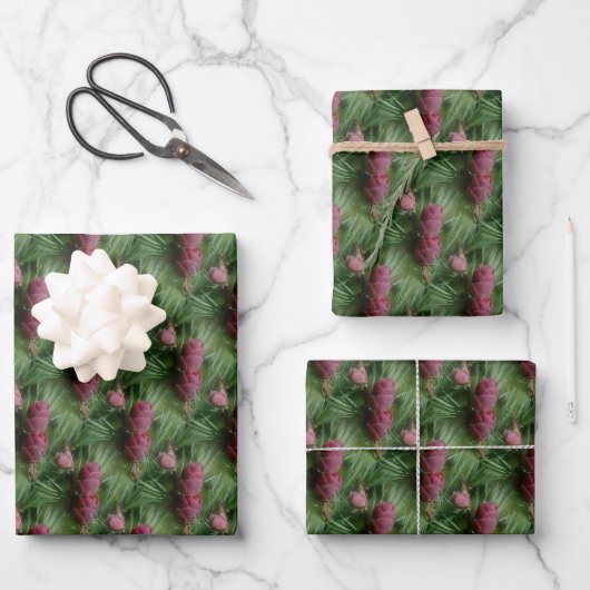 Pijn Cones en Pine Needles Natuur Patroon Inpakpapier Vel (Voorkant)