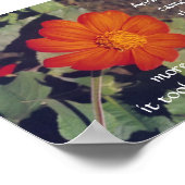 Pijn en risico - Anais Nin - poster (Hoek)