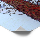 Pijn met Red Trunk Poster (Hoek)