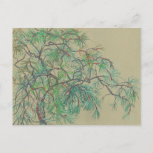 Pijn Tree Branch, Floral Art Northern Botany Green Briefkaart