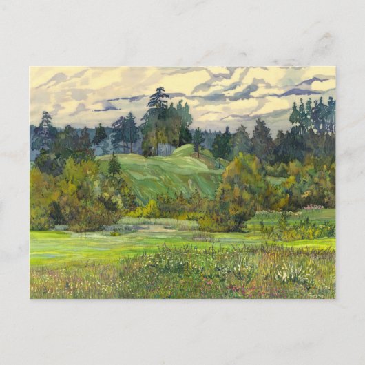 Pijnbomen Briefkaart (Voorkant)