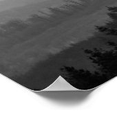 Pijnbomen met nevelvormige natuur foto poster (Hoek)