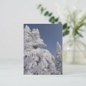 Pijnbomen met sneeuw briefkaart (Staand voorkant)