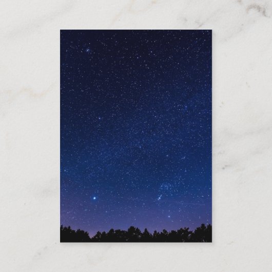 pijnbomen sneeuwwinter bruiloft informatiekaartje (Achterkant)