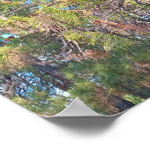 Pijnboom met dennenappels poster (Hoek)