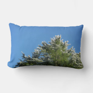 Pijnboom met sneeuwklemmen op blauwe hemel kussen