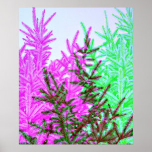 Pijnboom Moderne stijl Fotografische kunst Print