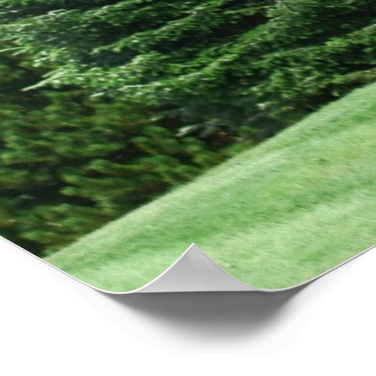 Pijnboomlandschap Poster (Hoek)