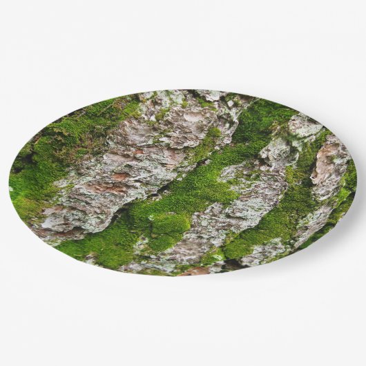 Pijnboomschors met moss papieren bordje (Gekanteld)