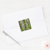 Pijnboomschors met moss vierkante sticker (Envelop)