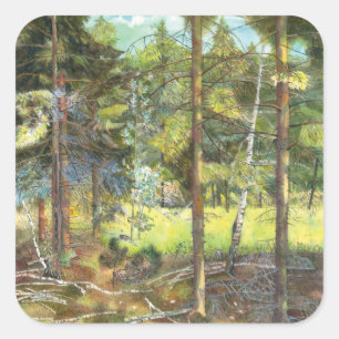 Pijnbos Vierkante Sticker