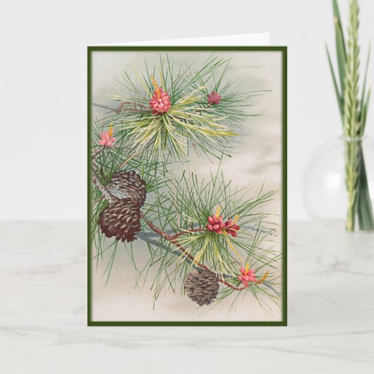 Pijnen en Bloem Kerstmis Kaart (Voorkant)