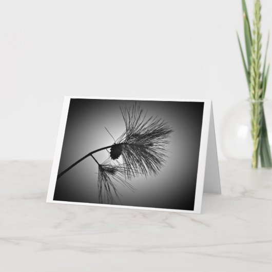 Pijnkloon op filiaal - noir, kaart (Voorkant)